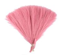 ApuaVireo&Co Pampas Grass Grande 15/30 pezzi Artificiale Pampas Grass Bouquet Pianta Finta Fiori Secchi Simulati Canna Decorazione for Feste di Nozze for Casa Camera da Letto Vaso(F07,30pcs)