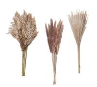 ApuaVireo&Co Pampas Grass Grande 30 pezzi di Pampas Grass Naturale Bouquet di Fiori Secchi Canna Vera Decorazione for Matrimoni Natale Flores Artificiale Decorazione for la Casa(Abc Primary)