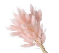 ApuaVireo&Co Pampas Grass Grande 60 pezzi di coda di coniglio, erba, fiori secchi, bouquet, decorazioni for la casa, pampa floreale, matrimonio, Natale(Light Pink)