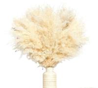 ApuaVireo&Co Pampas Grass, grande e soffice, bouquet di fiori da sposa in erba di pampa for decorazioni in vaso, pianta secca di pompas, decorazione for casa, soggiorno, festa, Natale(45-50cm,5pcs)