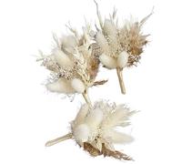 ApuaVireo&Co Pampas Grass, grande mini bouquet di fiori secchi, decorazione for matrimoni, fiori naturali conservati, erba della pampa for inviti, creazione di biglietti fai da te(L11,10pcs)