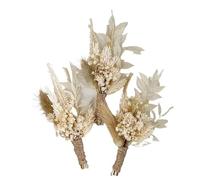 ApuaVireo&Co Pampas Grass, grande mini bouquet di fiori secchi, decorazione for matrimoni, fiori naturali conservati, erba della pampa for inviti, creazione di biglietti fai da te(L7,6PCS)