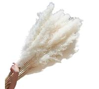 ApuaVireo&Co Pampas Grass Large 110-120cm Grande soffice Pampas Grass Decor Bouquet di fiori secchi, composizione floreale vintage for cerimonia di nozze, casa, Natale(White,3pcs)