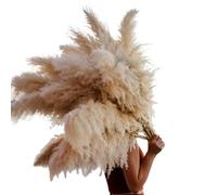 ApuaVireo&Co Pampas Grass Large 110-120cm Grande soffice Pampas Grass Decor Bouquet di fiori secchi, composizione floreale vintage for cerimonia di nozze, casa, Natale(Beige,10pcs)