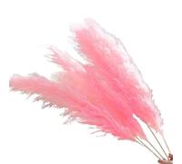 ApuaVireo&Co Pampas Grass Large 110-120cm Grande soffice Pampas Grass Decor Bouquet di fiori secchi, composizione floreale vintage for cerimonia di nozze, casa, Natale(Pink,3pcs)