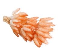 ApuaVireo&Co Pampas Grass Large 30/60pcs Lagurus Erba secca naturale soffice Pampas Dry Bouquet for la decorazione domestica Fiore Coda di coniglio Composizione nuziale(Orange,60pcs)