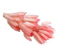ApuaVireo&Co Pampas Grass Large 30/60pcs Lagurus Erba secca naturale soffice Pampas Dry Bouquet for la decorazione domestica Fiore Coda di coniglio Composizione nuziale(Pink,30pcs)