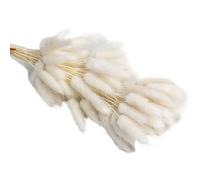 ApuaVireo&Co Pampas Grass Large 30/60pcs Lagurus Erba secca naturale soffice Pampas Dry Bouquet for la decorazione domestica Fiore Coda di coniglio Composizione nuziale(White,60pcs)