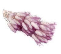 ApuaVireo&Co Pampas Grass Large 30/60pcs Lagurus Erba secca naturale soffice Pampas Dry Bouquet for la decorazione domestica Fiore Coda di coniglio Composizione nuziale(Purple,30pcs)