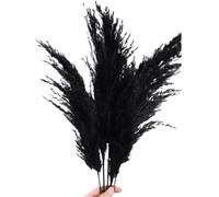 ApuaVireo&Co Pampas Grass Large 5 pezzi Grandi fiori di Pampas Grass Tintura Fiori di canna nera for soggiorno, negozio, decorazione for riunioni(Black)