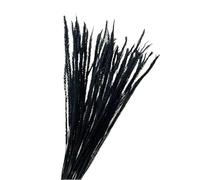 ApuaVireo&Co Pampas Grass Large 5PC/Set Grande Pampas Grass Fluffy Bunny Tails Reed Flore Bouquet di fiori secchi Serie nera for la decorazione della stanza e delle feste(Goldenrod Black,30 pcs a lot)