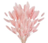 ApuaVireo&Co Pampas Grass Large Bunny Tails Fiori secchi Pampas Grass Rabbit Tail Bouquet Decorazioni for la tavola di nozze Accessori(Pink,80PCS)