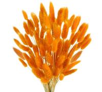 ApuaVireo&Co Pampas Grass Large Bunny Tails Fiori secchi Pampas Grass Rabbit Tail Bouquet Decorazioni for la tavola di nozze Accessori(Orange,100PCS)