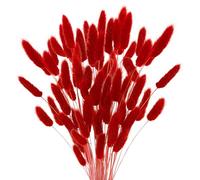 ApuaVireo&Co Pampas Grass Large Bunny Tails Fiori secchi Pampas Grass Rabbit Tail Bouquet Decorazioni for la tavola di nozze Accessori(Red,100PCS)