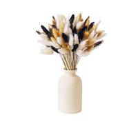 ApuaVireo&Co Pampas Grass Large Mix 60 pezzi di coda di coniglio essiccata Pampas Grass Bouquet for decorazioni for la casa Fiore Ovatus fai da te Artigianato Decorazione for matrimoni(A)