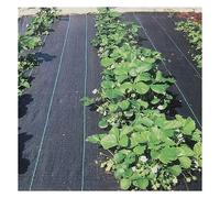 ApuaVireo&Co Tappetino Anti-Erbacce for Serre da 1 m, Telo Anti-Erbacce for orti, Telo Anti-Erbacce, Telo Anti-erbaccia, Pellicola pacciamante in plastica Nera Larga 0,5~4 m(Width 0.8m)