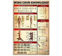 Apular 8x12 pulgadas Wing Chun Conocimiento Letreros de metal Principios básicos del Wing Chun Póster Guía de aprendizaje de Kung Fu Letrero de hojalata Hogar Habitación Club Artes marciales Salón De