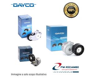 APV2033 DAYCO TENDICINGHIA PER BERLINGO JUMPY SCUDO 206 RANCH 1.9D