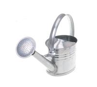 Aqbau® Annaffiatoio In Zinco Vari Metallo Zincato Con Doccia