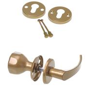 Aqbau® Maniglia per porta con pomello e rosetta PZ | pulsante | pomello per porta | pomello (oro)