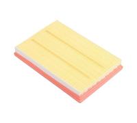 AQDSFT Filtro Aria per S 1000 RR 08-18 S 1000 R 13-20 S 1000 XR Sport 17-19 (K49) HP4 OEM 13717717842 HFA7918