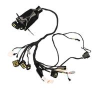 AQEBGDUC Adatto per Surron Light Bee X Sur-ron LBX per Segway X160 X260 160 260 Cablaggio completo del cavo principale elettrico Dirt Leva Del Cambio Tacchi-punta