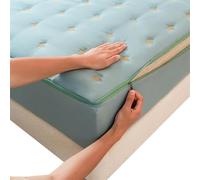 AQIGR Coprimaterasso Matrimoniale/Singolo/Una Piazza e Mezza con Cerniera, Coprimaterasso Antiacaro Traspirante, Lavabile, Adattabile a Tutti i Materassi(Cielo Azzurro,135x190+12cm)