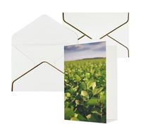 AQRJKHD Biglietto di ringraziamento con buste, con campo di soia e buste, biglietti di auguri di buon compleanno, per donne e uomini, biglietti vuoti per tutte le occasioni, per matrimoni, baby shower