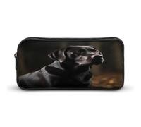 AQRJLPM Astuccio per matite con labrador nero, grande capacità, semplice astuccio portatile estetico con cerniera