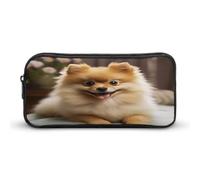 AQRJLPM Simpatico astuccio per matite a forma di cane Pomerania, grande capacità, semplice, portatile, estetico, con cerniera