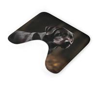 AQRJLPM Tappeti da bagno a forma di U con labrador nero, antiscivolo, ad asciugatura rapida, super assorbenti, piccoli tappeti da bagno morbidi per vasca da bagno e pavimento doccia