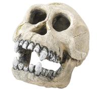 Aqua Della Decorazione Acquario Schimpansenschädel 16 CM per Pesci