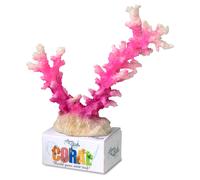 Aqua Della Korallenmodul Staghorn Corallo Rosa/Bianco 19,5x13,5 CM