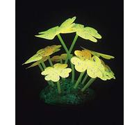 Aqua Lumo Aqua Lumo - Pianta stellata in silicone, colore: giallo fluorescente