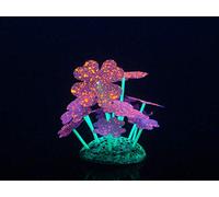 Aqua Lumo Aqua Lumo - Pianta stellata in silicone, colore: viola fluorescente