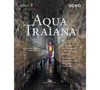 Aqua Traiana. Le indagini fra Vicarello e Trevignano Romano. Nuove acquisizioni e prospettive di studio sull'acquedotto Traiano-Paolo