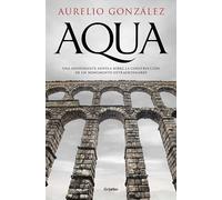 Aqua: Una apasionante novela sobre la construcción de un monumento extraordinario