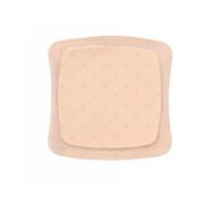 AQUACEL AG FOAM N/ADES 10X10