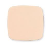 AQUACEL FOAM NON ADH 10X10 10P
