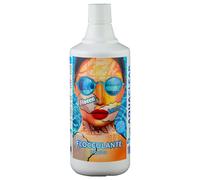 AQUACLEAR - Flocculante Piscina Liquido - Formato da 1 Kg - Per eliminare le par