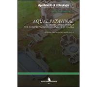 Aquae patavinae. Il termalismo antico nel comprensorio euganeo e in Italia