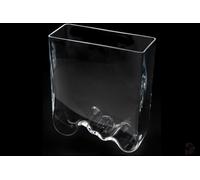 Aquael Decoris Glasbecken Decorazione Vetro Contenitore Vaso Acquario Wave 3 L