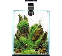 Aquael Shrimp Set Day & Night 20 - Nero