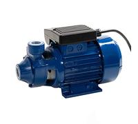 AquaForte Pompa di risciacquo Autoadescante con Ruota in Ottone 550 W, Portata Max. 2,7 m3/h, Testa Max. 45 Metri, Pressione Massima 4,5 Bar, Ingresso/Uscita 1 Filettatura Interna, Cassa in Ghisa