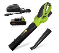 Aqualin Soffiatore a batteria 2,0 Ah | caricatore rapido | soffiatore a lama senza fili per giardino e prato