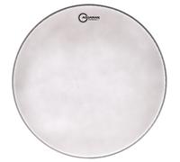 Aquarian 24" Performance II Coated Bass