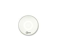 Aquarian Regulator RF Resonant Gloss White 20