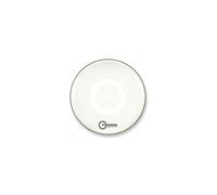 Aquarian Regulator RF Resonant Gloss White 22