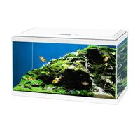 Aquario Ciano Aqua 60 Led Askoll - Bianco - 60 x 30 x 32 - 1° ORDINE? scegli lo sconto BZR5 / BZR20 + 200 punti fedeltà bianco
