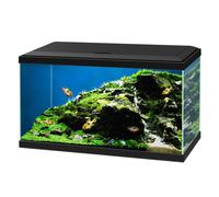 Aquario Ciano Aqua 60 Led Askoll - Nero - 60 x 30 x 32 - 1° ORDINE? scegli lo sconto BZR5 / BZR20 + 200 punti fedeltà bianco